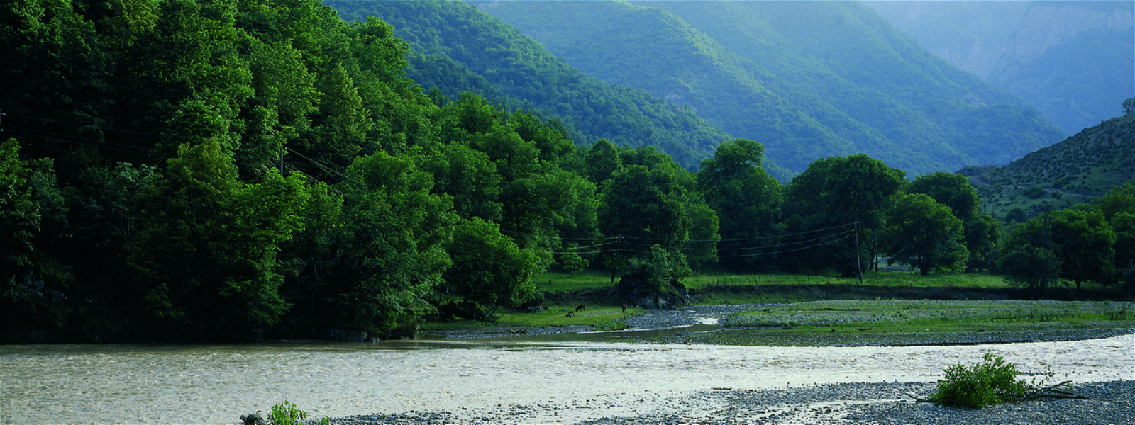 Ekoloji tarazlığın bərpası