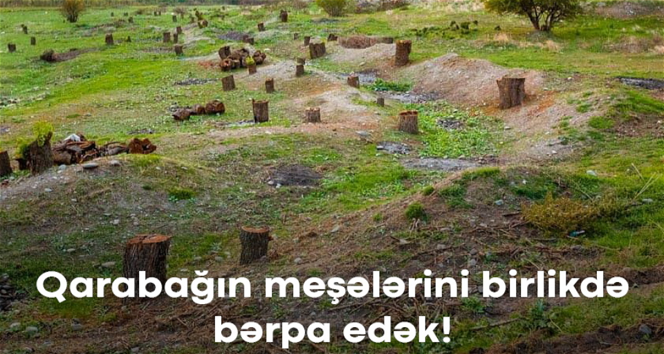 Gəlin Qarabağı daha yaşıl bərpa edək!